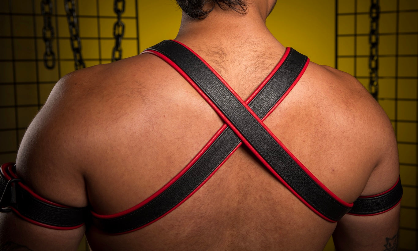 X Back Harness