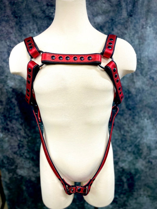 Full Body Snap Harness with Ring